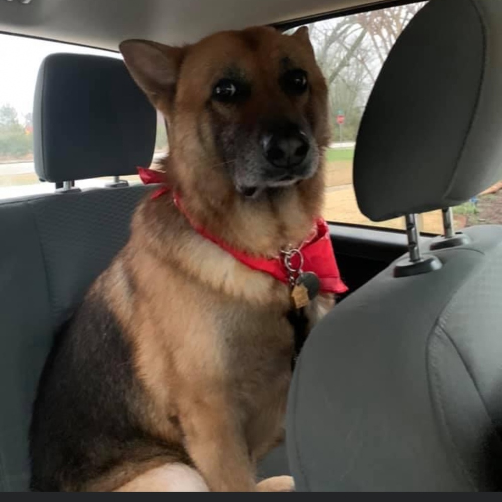 Meet your Posher, Posh